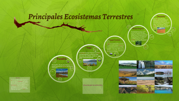 Principales Ecosistemas Terrestres by on Prezi