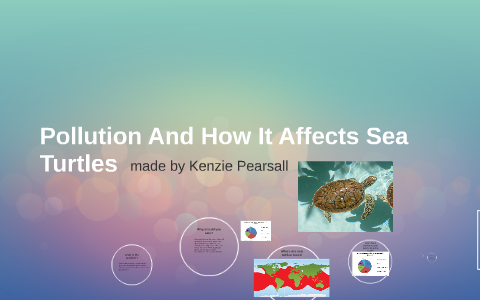Oil Spills And How It Affects Sea Turtles by makenzie pearsall on Prezi