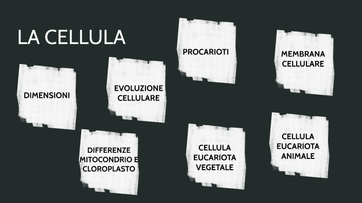 LA CELLULA by Silvia Verzeroli on Prezi