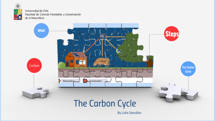 The Carbon cycle by Lidia Gonzalez on Prezi