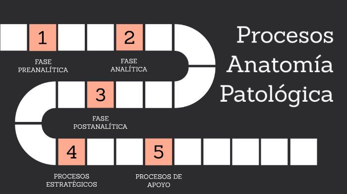 Mapa De Proceso De Anatomía Patológica By Claudia Abalde Leal On Prezi