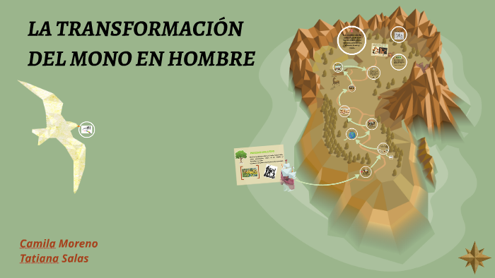 LA TRANSFORMACIÓN DEL MONO EN HOMBRE by camila moreno on Prezi