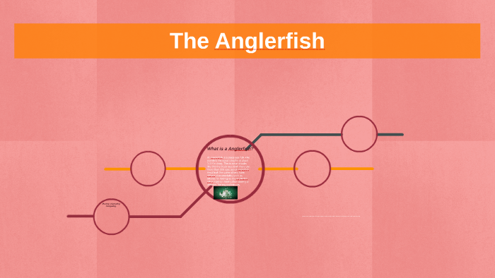 What is a Anglerfish? by Koko Brownine on Prezi