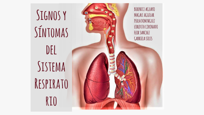 Signos Y Sintomas Del Sistema Respiratorio By Gabi Solis Sexiz Pix