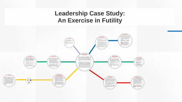 leadership case study