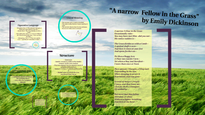 what is a narrow fellow in the grass about