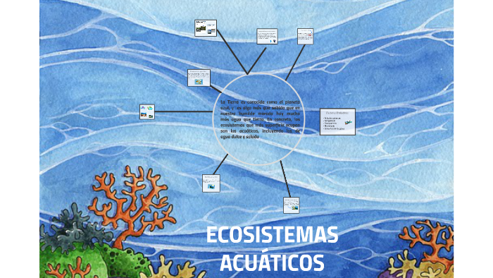 ECOSISTEMAS ACUÁTICOS by NELIDA GARCIA on Prezi