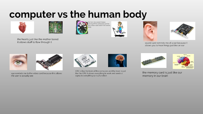 Humans vs Computers: Similarities Loading Now Part I - BGO Software