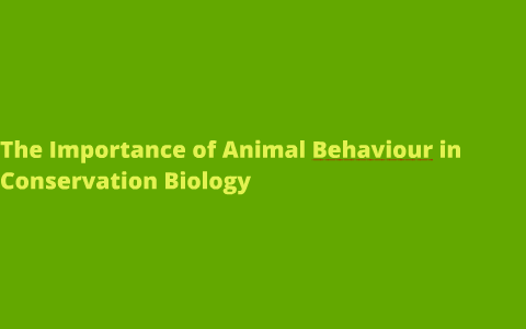 The Importance of Animal behaviour in conservation biology by