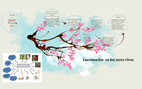 en los seres vivos by Marcela Peña Ortega on Prezi