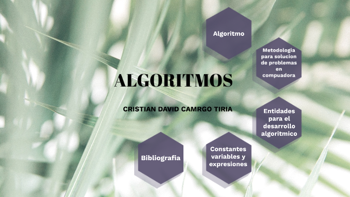 ALGORITMOS by cristian camargo tiria on Prezi