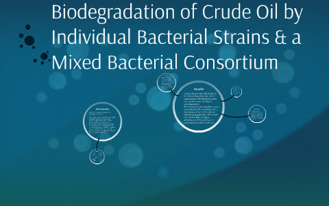 Biodegradation of Crude Oil by Individual Bacterial Strains by Kathryn ...