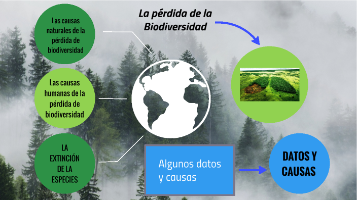 La perdida de la biodiversidad by Fidias Gonzalez Nova on Prezi