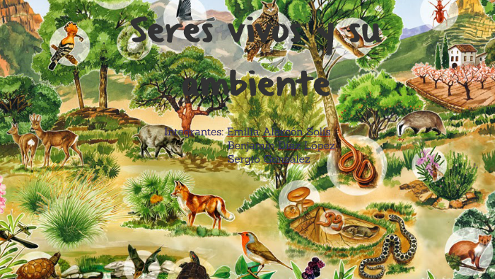 Los Seres Vivos Y Su Ambiente - S66ntfmubwtslvea7a27id2xzt6jc3sachvcdoaizecfr3dnitcq 3 0 