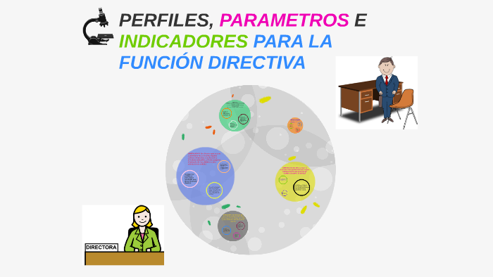 PERFILES, PARAMETROS E INDICADORES PARA LA FUNCIÓN DIRECTIVA by Romeo