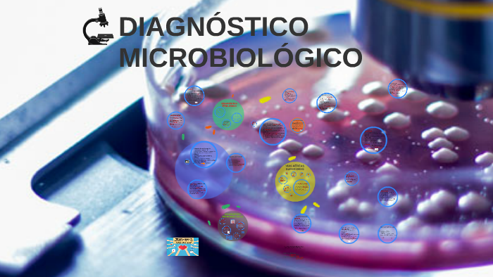 DIAGNÓSTICO MICROBIOLÓGICO by Gisela Nuñez