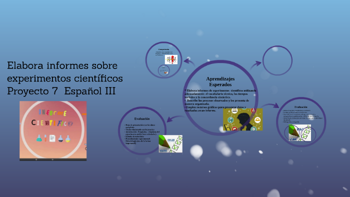 Elabora informes sobre experimentos científicos by MARIBEL DE LEON FITZ