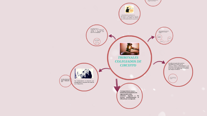 TRIBUNALES COLEGIADOS DE CIRCUITO by elisa betancourt on Prezi
