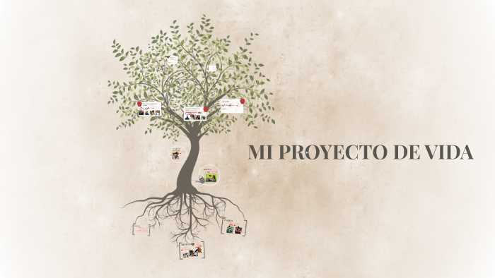 MI PROYECTO DE VIDA by laura daniela del valle osorio on Prezi