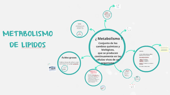 metabolismo glucidos consejos