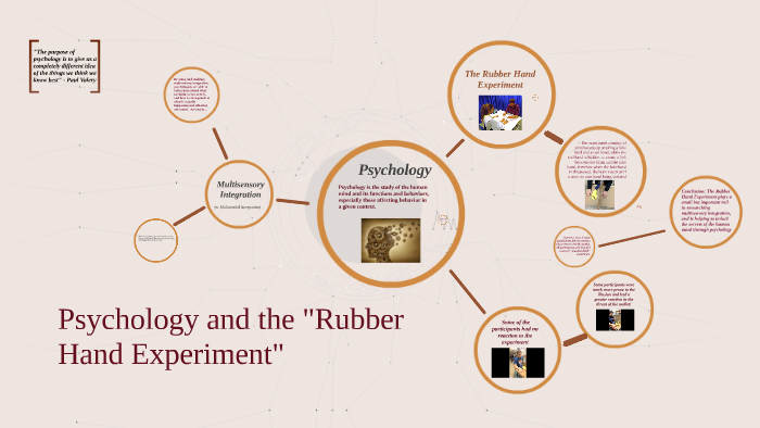 rubber hand experiment procedure