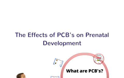 The Effects Of PCB's On Prenatal Development By Carol Travis