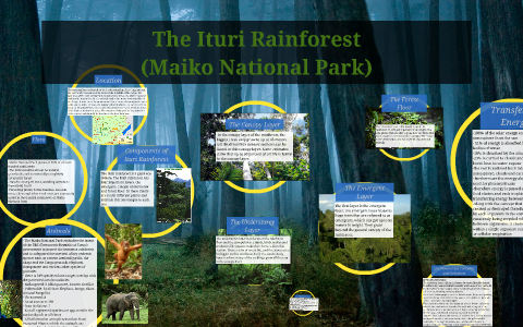 Ituri Rainforest by Mallie Chambers on Prezi