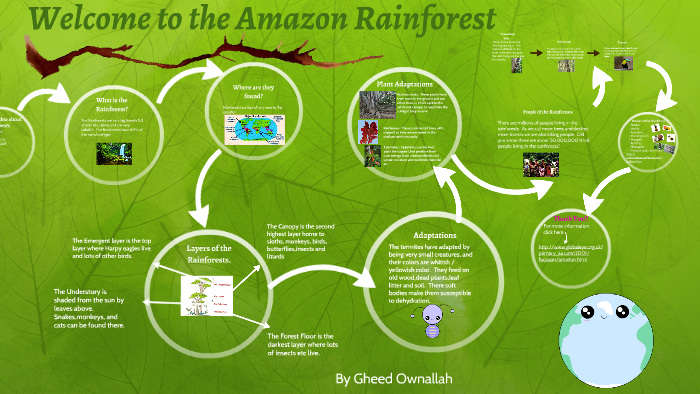 Welcome to the Amazon Rainforest by Gheed Own by Botanic Primary on Prezi