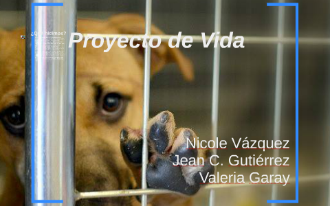 Proyecto de Vida by nicole vazquez on Prezi
