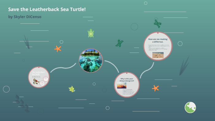 The Leatherback Sea Turtle by skyler Dicenso on Prezi