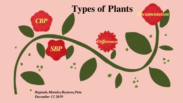spore bearing plants examples with names