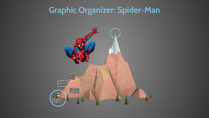 spider man organizer