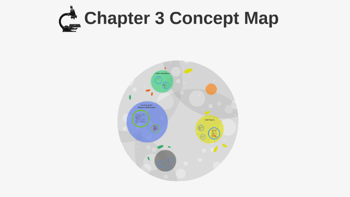 Chapter 3 Concept Map by Maddie Clark on Prezi