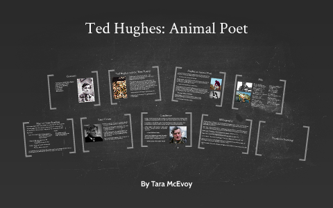 Ted Hughes: Animal Poet by Tara McEvoy