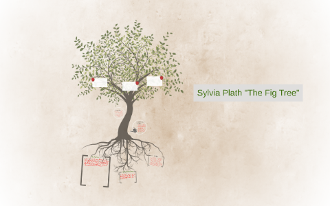 Sylvia "The Fig Tree" by Estefania Lopez