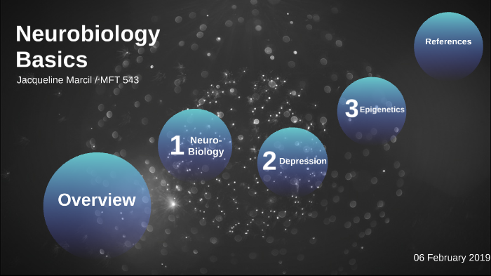 Neurobiology Basics By On Prezi