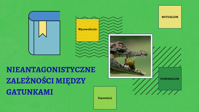 NIEANTAGONISTYCZNE ZALEŻNOŚCI MIĘDZY GATUNKAMI by Agata Magdzińska on Prezi