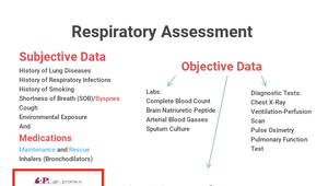 Respiratory Concept Map by Connor Ching on Prezi Design