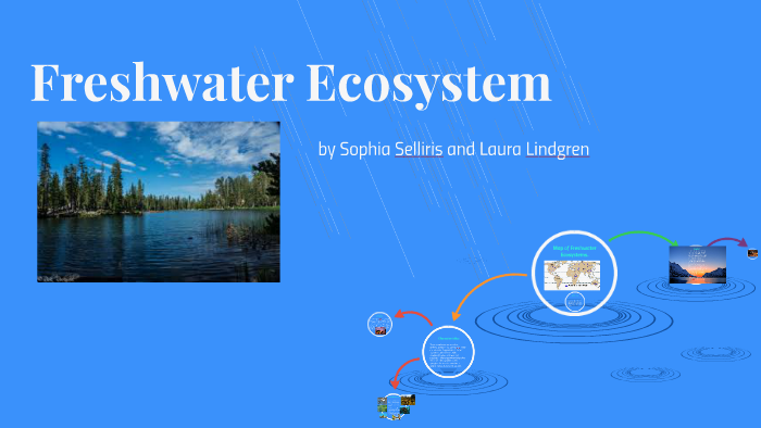 Standing Freshwater Ecosystems By Sophi Selliris