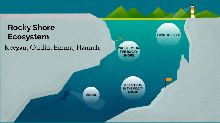 rocky shore ecosystem by keegan carty on Prezi