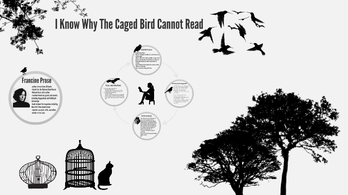 I Know Why The Caged Bird Cannot Read by Kim Dela Cruz