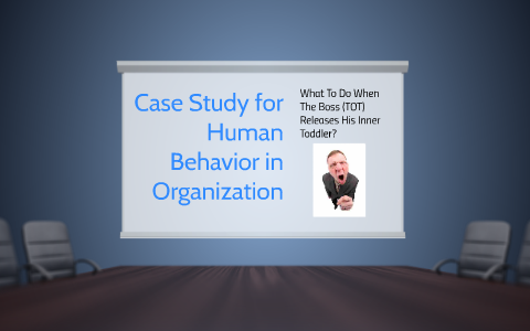 case study sample human behavior organization