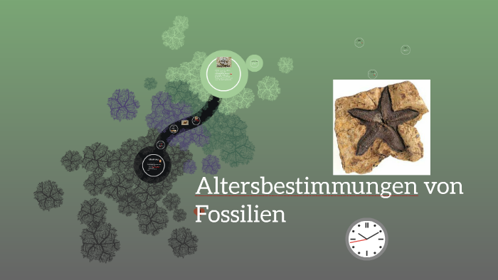 Absolute Altersbestimmung Von Fossilien Altersbestimmungen von Fossilien by Ronald K. on Prezi