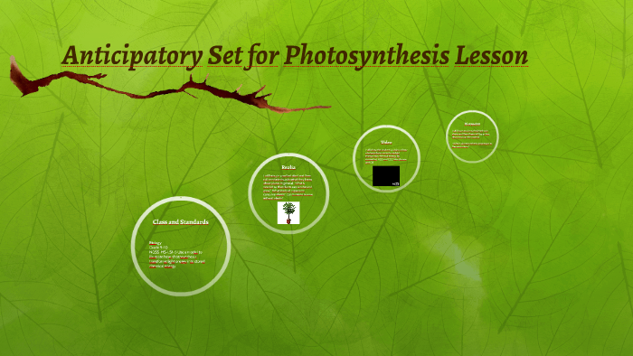 Anticipatory Set for Photosynthesis Lesson by on Prezi