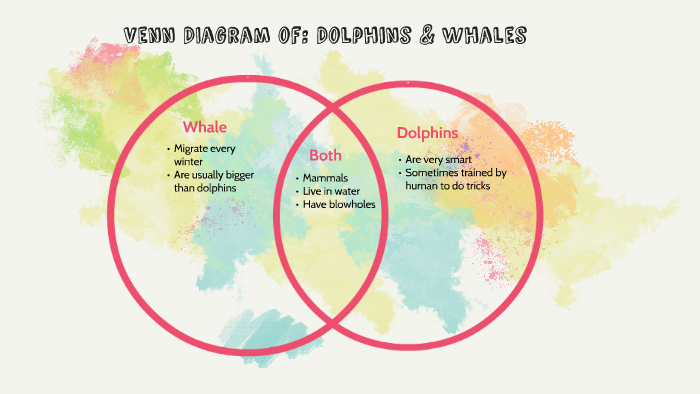 Venn DIagram of: Dolphins & Whales by Meryl Li on Prezi