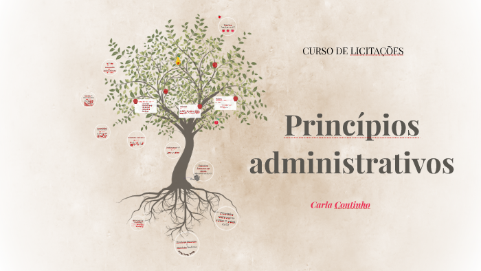 Princípios Administrativos By On Prezi