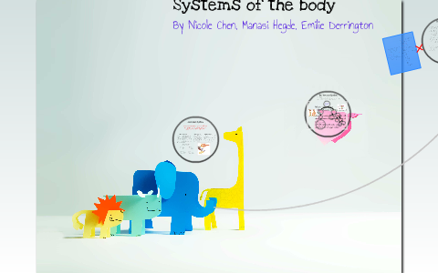 Systems of the Human Body by Emilie Derrington on Prezi