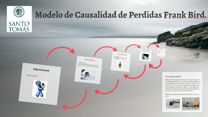 Modelo de Causalidad de Perdidas Frank Birds E. Jr. by felipe andres  vergara pizarro on Prezi Next