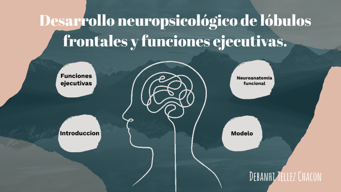 desarrollo neuropsicológico de lóbulos frontales y funciones ejecutivas