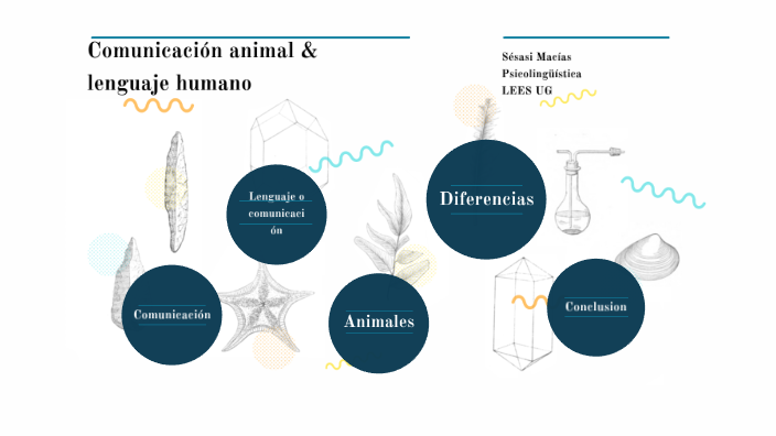 Comunicacion Animal Y Lenguaje Humano Resumen prezi.com